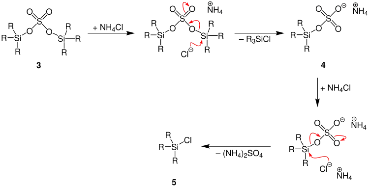 Flood-Reaktion Mechanismus2
