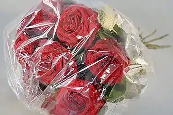 Blumenfolie aus PLA-Blend