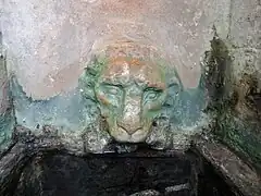 Löwenkopf-Wasserspeier