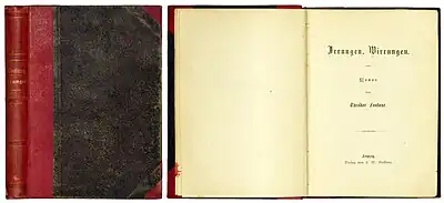 Irrungen, Wirrungen, Titelblatt der ersten Buchausgabe