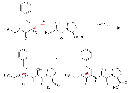 Bildung von Stereoisomeren von Enalapril