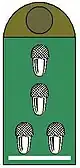 Forstamtsrat /Forst­oberamtsrat (Auf­schiebe­schlaufe)