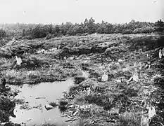 Georgenfelder Hochmoor 1927