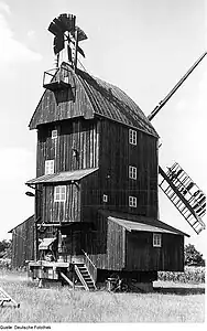 Rückwärtige Ansicht (1972)