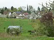 Frühling