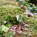 Frühlingserwachen im Naturschutzgebiet