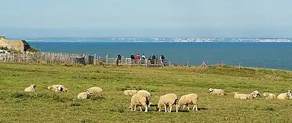 Blick vom Cap Gris-Nez über den Kanal auf die Kreidefelsen von Dover