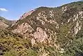 Typische Landschaft