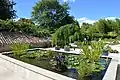 Wassergarten