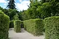 Heckenlabyrinth
