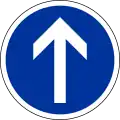 B21b: vorgeschriebene Fahrtrichtung – geradeaus