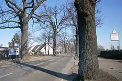 Schönerlinder Straße