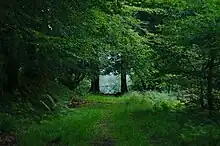 Eingang zum Familienfriedhof Fredensborg