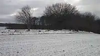 Frellesvig Langdysse