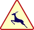 A15b: Wildwechsel