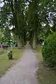 Lindenallee zum Grabmal Bohm