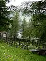 Neuer Friedhof