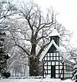 Friedhofslinde in Oppenwehe Winter 2010