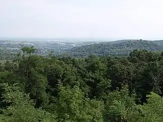 Alte Buchenwälder und Buchen­urwälder der Karpaten und anderer Regionen Europas (Erweiterung)