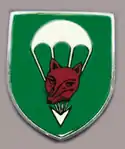 Internes Verbandsabzeichen