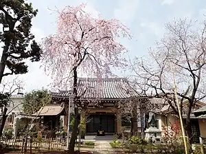 Hōya