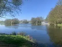 Aueweiher
