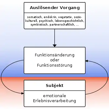 Illustration wahrscheinlicher pathogenetischer Wechselbeziehungen ohne Beteiligung organischer Integrationsstufen (Modell nach Thure von Uexküll)