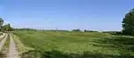 Wiese auf der Insel