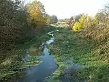 Die Gösel im neuen Flussbett bei Pötzschau