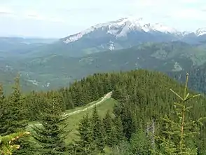 Blick von der  Gęsia Szyja