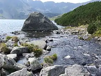 Roztoka, Polen