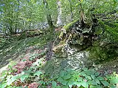 Felsband im Mohlsbachtal