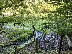 Borberger Siefen mündet in die Talaue