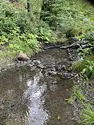 Oberlauf Mohlsbach