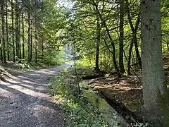 Wanderweg am Mohlsbach