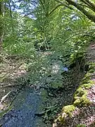 Steilufer der Großen Dhünn