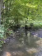 Große Dhünn nordöstl. Odenholler Mühle