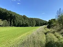 Weg von Niederdhünn durch die Talaue zur Odenholler Mühle