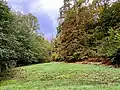 Quellgebiet in einer Feuchtwiese auf einer Lichtung