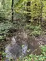 Schneppenstöcker Bach am südl. Ende des NSG