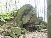 Gneis - Felsen in der Form eines Schildkrötenkopfes (Böllstein-Wallbrunn)