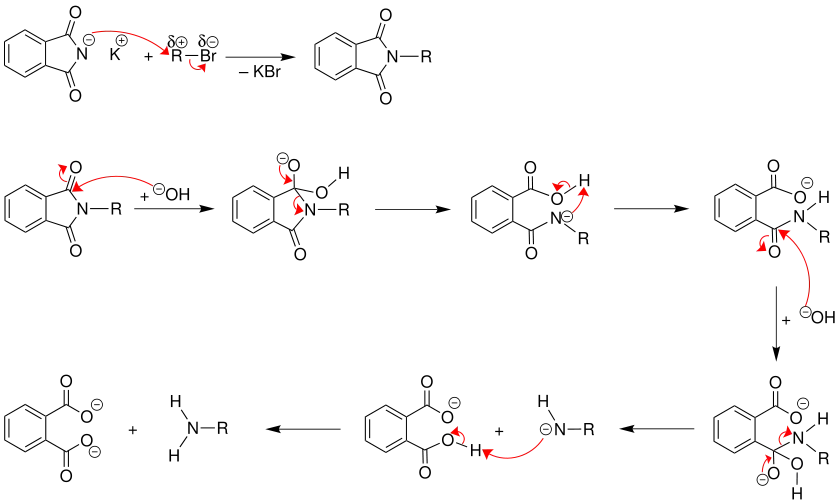 Mechanismus der Gabriel-Synthese: Verseifung