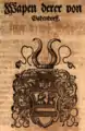 Wappen in „Holsteinische Chronica“ von Andreas Engel 1597