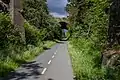 Gegend bei Saanich