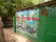 „Kachikally Crocodile Pool“ und Museum