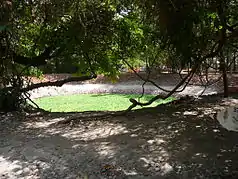 Das heilige Krokodilbecken von Kachikally