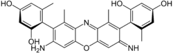 γ-Amino-orceinimin