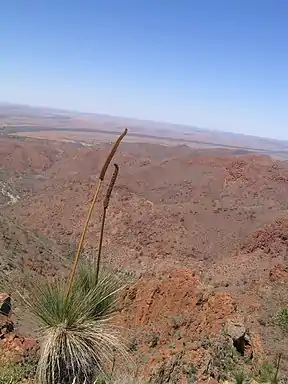Blick auf die Gammon Ranges
