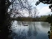 Gampriner Seelein