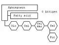 Schematische Darstellung des Gangliosids der Blutgruppe 0.